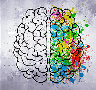 A creative and data driven brain